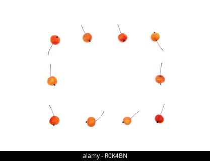 Kreative Rahmen aus frischen Little Red - reife Äpfel. Herbst Konzept. Flach, Ansicht von oben, kopieren. Stockfoto