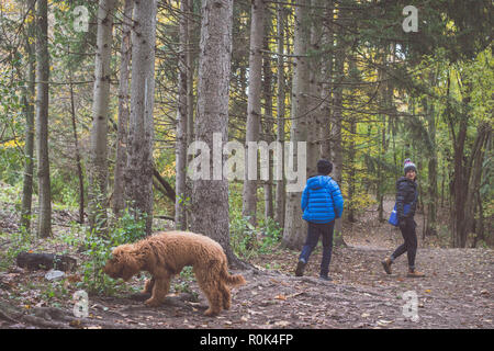 TORONTO, KANADA - 3. NOVEMBER 2018: MENSCHEN UND IHRE HUNDE BEI HOHEN PARK auf Herbst Tag. Stockfoto