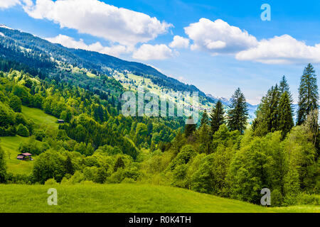 Wald in den Alpen Berge, Klosters-Serneus, Davos, Graubünden Schweiz Stockfoto