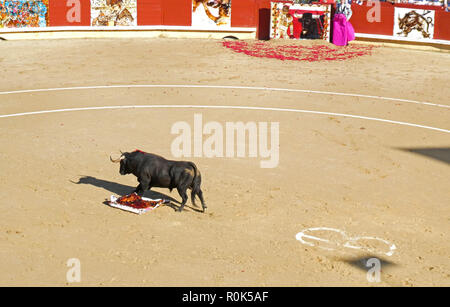 Corrida Goyesque in Bayonne, Pyrénées-atlantiques, Nouvelle-Aquitaine Stockfoto