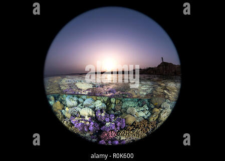 Der Sonnenuntergang über dem Coral Gardens im Roten Meer. Stockfoto