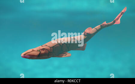 Kette catshark (Scyliorhinus retifer) kleine Haie im Atlantik. Stockfoto