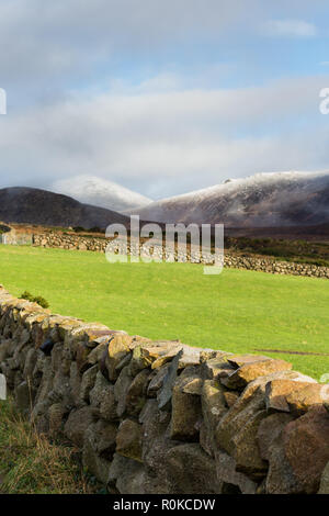 Slieve Donard und Chimney Rock Berg im hellen Schnee in der Ferne über grünes Feld und Trockenmauer gesehen. Mourne Mountains, N. Irland. Stockfoto