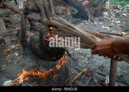 Mann, der versucht, ein Feuer zu beginnen Sie das Fell eines frisch geschlachteten Schwein, Honiara, Solomon Inseln zu brennen. Stockfoto