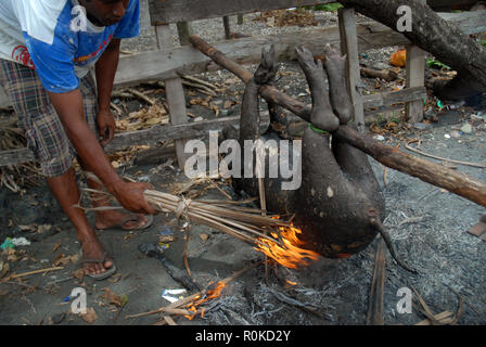 Mann, der versucht, ein Feuer zu beginnen Sie das Fell eines frisch geschlachteten Schwein, Honiara, Solomon Inseln zu brennen. Stockfoto