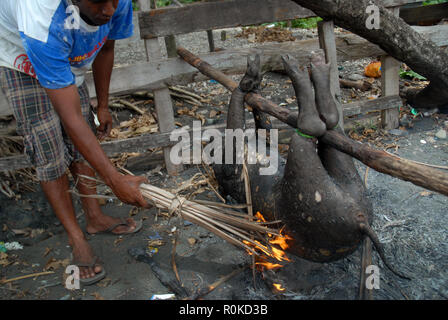 Mann, der versucht, ein Feuer zu beginnen Sie das Fell eines frisch geschlachteten Schwein, Honiara, Solomon Inseln zu brennen. Stockfoto