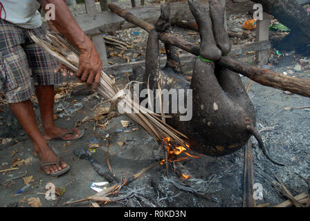 Mann, der versucht, ein Feuer zu beginnen Sie das Fell eines frisch geschlachteten Schwein, Honiara, Solomon Inseln zu brennen. Stockfoto