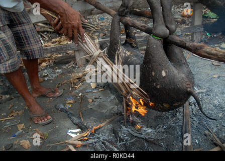 Mann, der versucht, ein Feuer zu beginnen Sie das Fell eines frisch geschlachteten Schwein, Honiara, Solomon Inseln zu brennen. Stockfoto