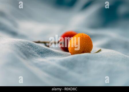 Schließen Sie herauf Bild von lychees Früchte auf weichem blauem Hintergrund Stockfoto