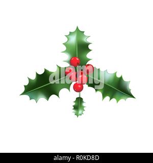 Natur holly Symbol Stock Vektor