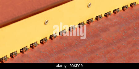 Viele Honigbienen stehen am Eingang zum Bienenhaus. Bienenvolk bereit für Fliegen, auf Befehl wartet. Stockfoto