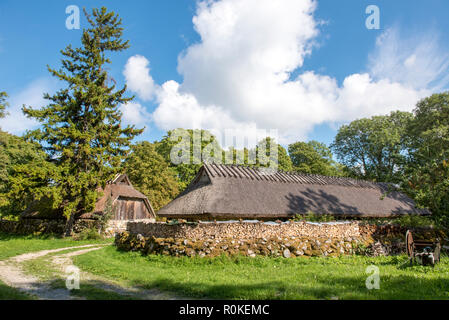 Alten rustikalen Scheunen mit Schilfdach gedeckt auf Insel Muhu in Estland Stockfoto