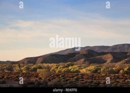 Sanft violetten Hügeln entlang der Anrainerstaaten in Lancaster Tal in Kalifornien gerundet; Bäume gelb, schöne am späten Nachmittag Licht, blauer Himmel. Stockfoto