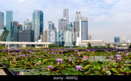 Skyline von Singapur mit Wassergarten im Vordergrund tagsüber, 2018. September Stockfoto