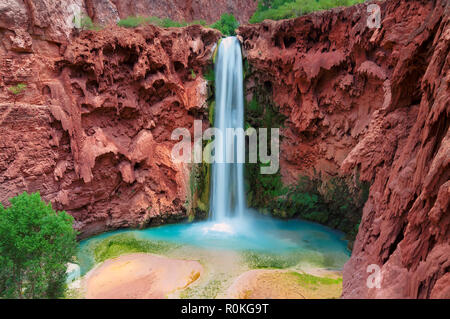 Havasu falls, Grand Canyon, Arizona Stockfoto