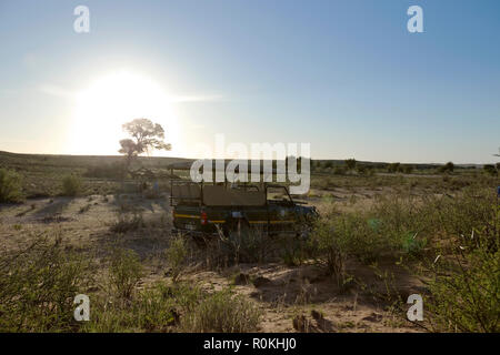 Safari Fahrzeug auf eine Pirschfahrt im Kgalagadi Nationalpark Stockfoto