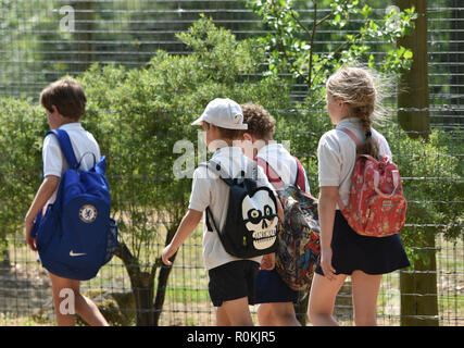 Die Jungen der Grundschule, Kinder zu Fuß zur Schule Stockfoto