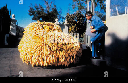 Herbie Goes Bananas, alias: Herbie dreht durch", USA 1980, Regie: Vincent McEveety, Szenenfoto: Käfer Herbie im Bananenkleid Stockfoto