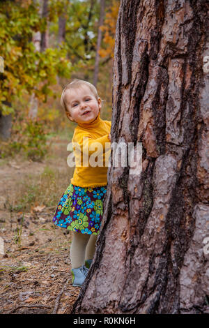 Gerne kleine Mädchen Wanderungen im Herbst Park, sammelt die Blätter. Blicken Sie hinter einem Baum. Stockfoto