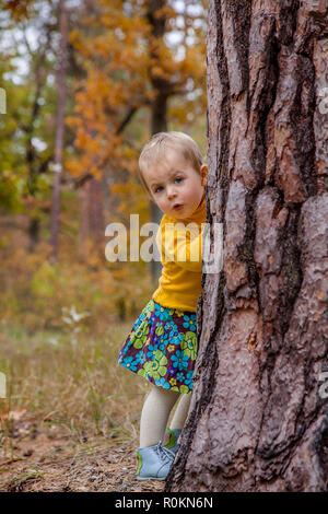 Gerne kleine Mädchen Wanderungen im Herbst Park, sammelt die Blätter. Blicken Sie hinter einem Baum. Stockfoto