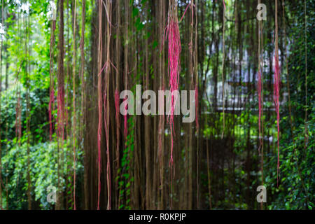 Fantasy Szene von pink Wald mit Bäumen und Efeu. Stockfoto