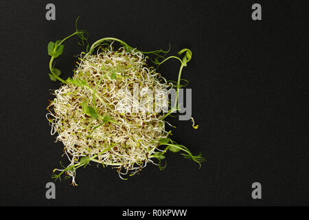 Schließen Sie herauf frische Mung Bohnen und Erbsen microgreen Salat Sprossen am Schwarzen Brett Hintergrund mit Kopie Raum, Erhöhte Ansicht von oben, direkt über Stockfoto