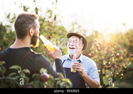 Ein älterer Mann mit erwachsenen Sohn Flaschen Holding mit Apfelwein in Apple Orchard im Herbst. Stockfoto
