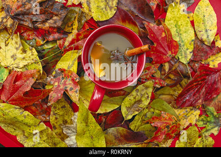 Rot, Gelb und Orange Blätter im Herbst für den Hintergrund. Stockfoto