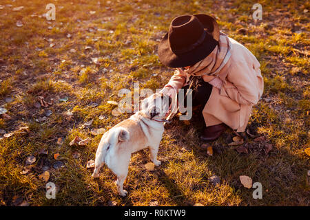 Master walking Mops Hund im Herbst Park. Petting Frau Welpen. Stockfoto