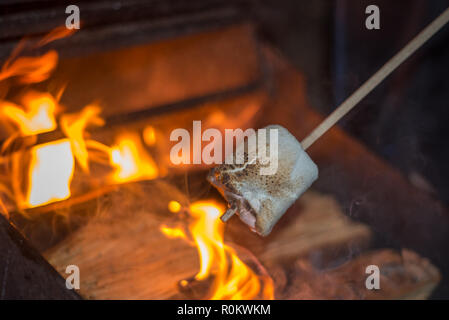 Die Röstung Marshmallow, Stick auf Feuer beim Camping Stockfoto