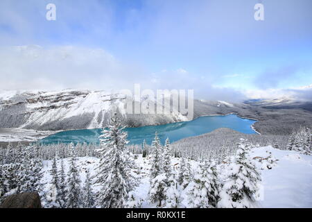 Spektakuläre winter Szene am Peyto Lake im Banff National Park, Kanada, mit Bergen und Bäumen von Schnee bedeckt. Bild der beliebteste Tour Attraktion. Stockfoto