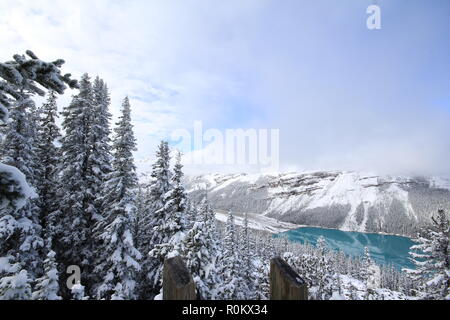 Spektakuläre winter Szene am Peyto Lake im Banff National Park, Kanada, mit Bergen und Bäumen von Schnee bedeckt. Bild der beliebteste Tour Attraktion. Stockfoto