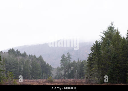 Ein Blick auf die Adirondack Mountains Wilderness an einem bewölkten, regnerischen nebligen Nachmittag im Spätherbst. Stockfoto