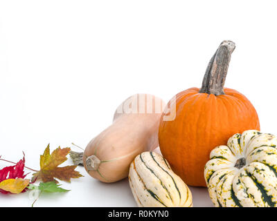 Einen schönen Herbst- oder danksagung Hintergrund mit mehreren Sorten von Squash einschließlich Butternut, sweet Dumpling, delicata, und eine orange Kürbis Stockfoto