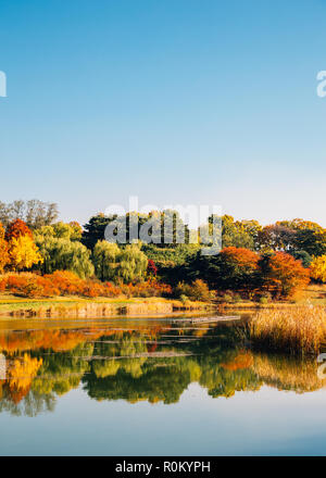 Olympic Park, Herbst Ahorn und See in Seoul, Korea Stockfoto