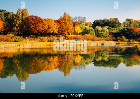 Olympic Park, Herbst Ahorn und See in Seoul, Korea Stockfoto