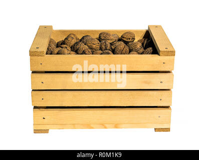 Holz- Korb voller Walnüsse isoliert auf Weiss. Stockfoto