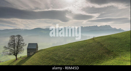 Idyllische und ruhige Berglandschaft mit einem abgeschiedenen Holz- Scheune und einsamer Baum auf einem grasbewachsenen Hügel und einen tollen Blick auf die Schweizer Alpen hinter Stockfoto