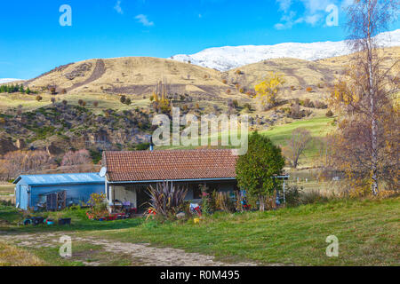 Landschaft von Neuseeland in den späten Herbst, Cardrona Valley Road, Cardrona, Südinsel, Neuseeland Stockfoto