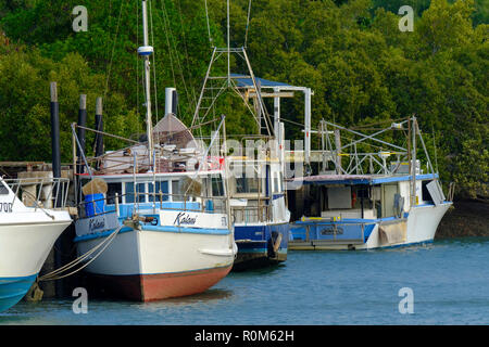 Angelegte Boote in Yeppoon Stockfoto