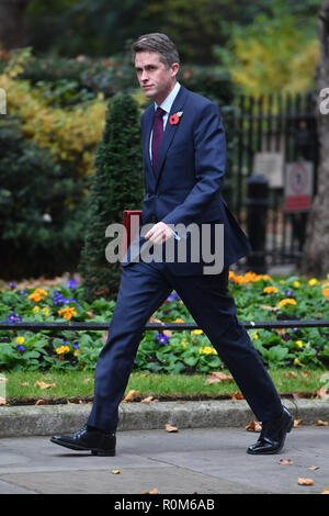 Verteidigungsminister Gavin Williamson kommt in Downing Street, London, für eine Sitzung. Stockfoto