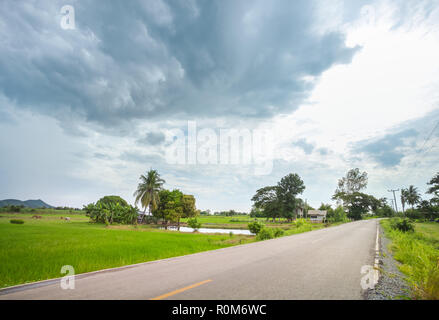 Country Road mit Reis Feld in bewölkten Tag, Provinz Sukhothai, Thailand Stockfoto