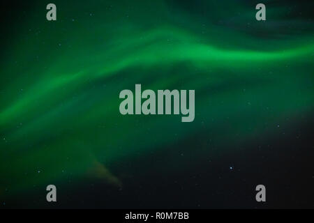Grüne Polarlichter über Trondheimsfjorden in Ranheim, Trondheim, Norwegen. Stockfoto