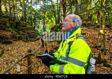 Professionelle tree Inspector Steve Maros routinemäßig überprüft Bäume an Puzzlewood Besucherattraktion, Wald von Dekan für die öffentliche Sicherheit gewährleisten Stockfoto