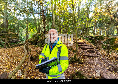 Professionelle tree Inspector Steve Maros routinemäßig überprüft Bäume an Puzzlewood Besucherattraktion, Wald von Dekan für die öffentliche Sicherheit gewährleisten Stockfoto