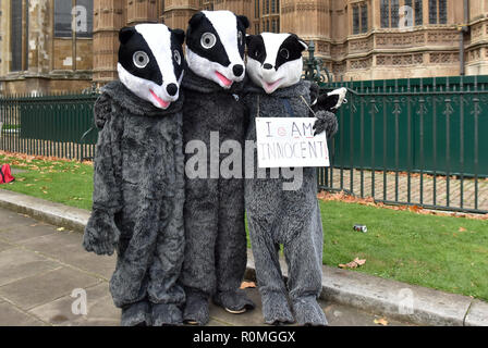 Westminster, London, Großbritannien. 6. November 2018. Westminster Demo gegen den Dachs Cull mit MP Chris Williamson die Debatte im Parlament zusammenfällt. Quelle: Matthew Chattle/Alamy leben Nachrichten Stockfoto