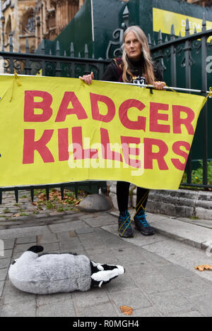 Westminster, London, Großbritannien. 6. November 2018. Westminster Demo gegen den Dachs Cull mit MP Chris Williamson die Debatte im Parlament zusammenfällt. Quelle: Matthew Chattle/Alamy leben Nachrichten Stockfoto