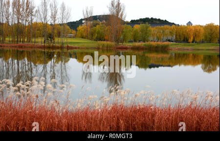 (181106)-BEIJING, November 6, 2018 (Xinhua) - Foto an November 5, 2018 zeigt die Landschaft des Yanqi See nach dem regen in Peking, der Hauptstadt von China. (Xinhua / Bu Xiangdong) Stockfoto