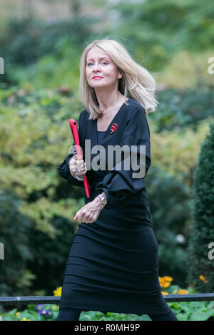 London, Großbritannien. 6. November 2018. Esther McVey Minister für Arbeit und Altersversorgung Credit: Amer ghazzal/Alamy leben Nachrichten Stockfoto