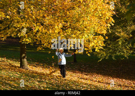 Brighton, Großbritannien, 6. November 2018 - ein Wanderer erfreut sich einer durch die bunten Blätter im Herbst in Queens Park Brighton an einem schönen warmen sonnigen Nachmittag Credit Spaziergang: Simon Dack/Alamy leben Nachrichten Stockfoto